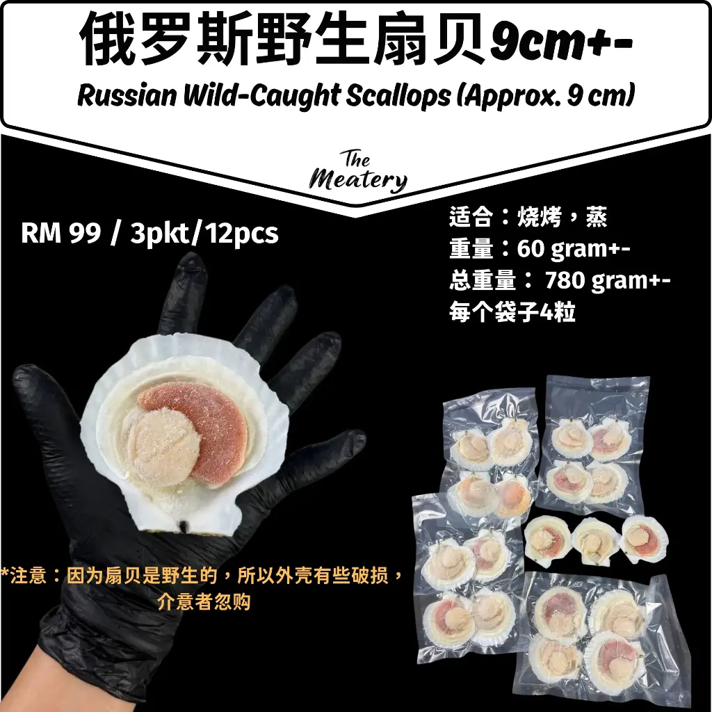 *9cm+-* 俄罗斯野生扇贝 Russian Wild-Caught Scallops