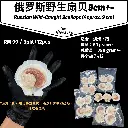 *9cm+-* 俄罗斯野生扇贝 Russian Wild-Caught Scallops