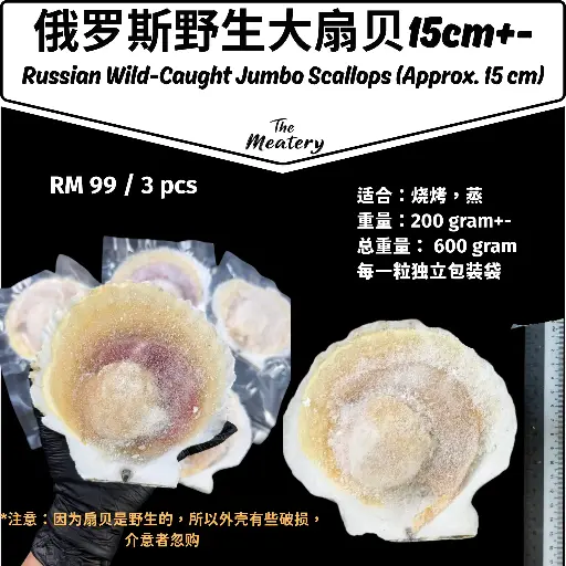 *15cm+-* 俄罗斯野生扇贝 Russian Wild-Caught Jumbo Scallops